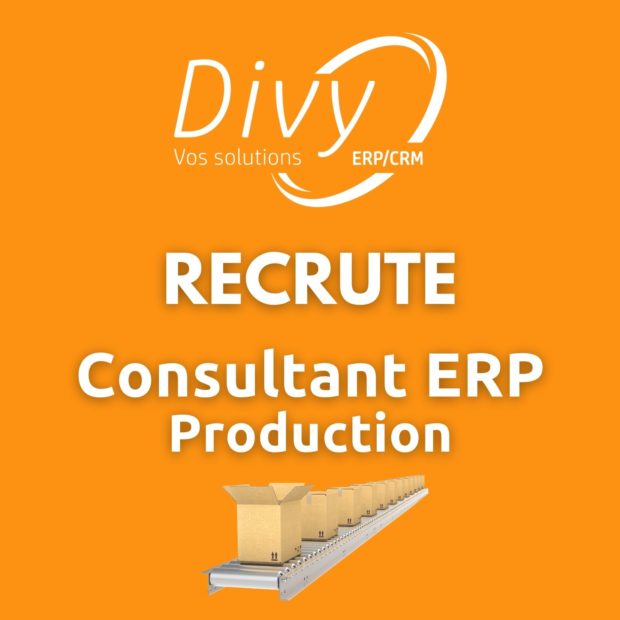 Consultant ERP Production
